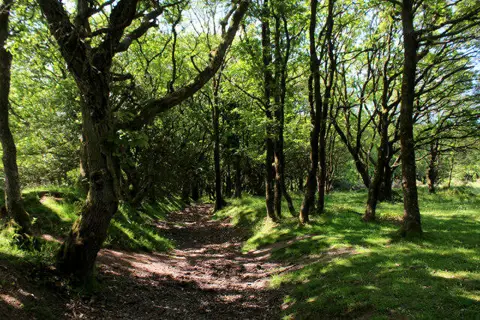 ST1638 : Dead Woman's Ditch