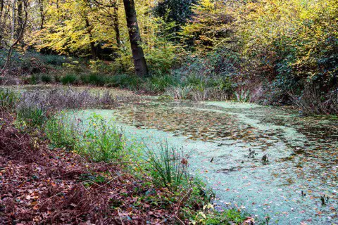 TQ2898 : Camlet Moat, Trent Park