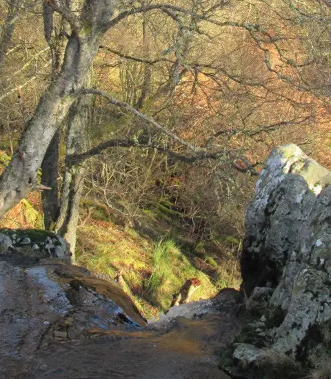 NT9517 : Top of Linhope Spout