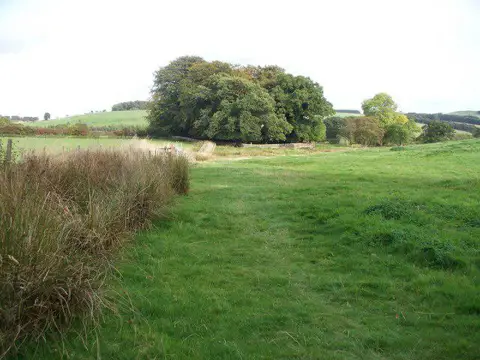 NT9502 : Lady's Well, among the trees.