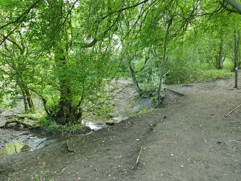 SE2126 : Oakwell Country Park - path by Scotland Beck