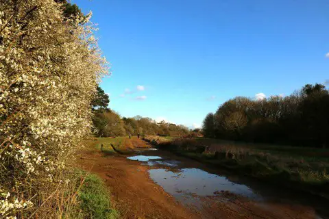 SP5606 : Shotover Plain on Shotover Hill