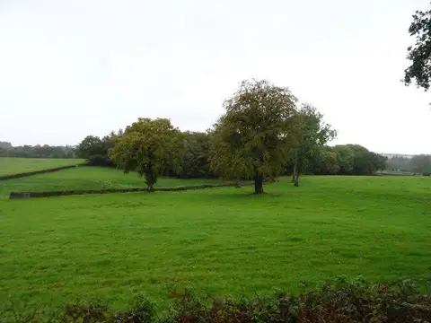 SO3106 : Grazing near the Monmouthshire and Brecon Canal