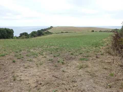 SX0348 : Fields above Gerrans Point