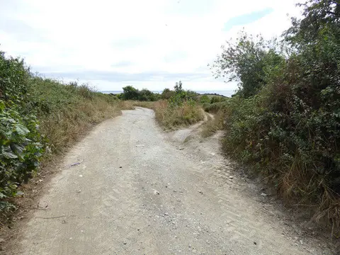 SX0348 : Fork in a farm track