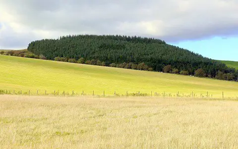 NT8426 : Fields south-east of Davie Rig near Halterburn