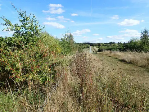 Image shared for Jeskyns Broomfield Loop and Henhurst Lake Walk