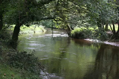 SX0169 : The River Camel north of Polbrock Bridge