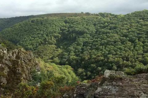 SX7389 : Teign valley from Sharp Tor