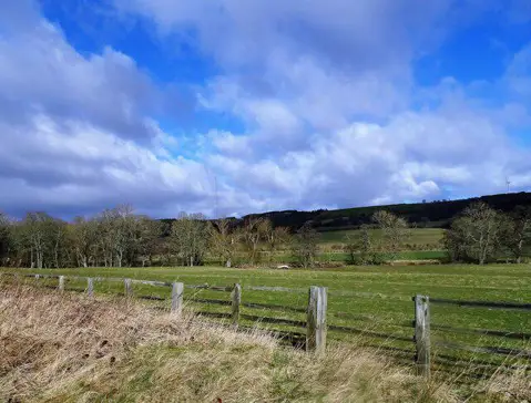 NZ1945 : View north towards Burnhope from the railway path