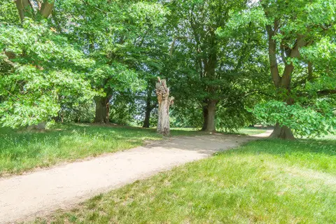 TQ2786 : Hampstead heath woodland
