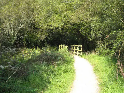 SW6526 : Footbridge in Loe Valley