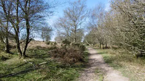 ST1638 : Path, Quantocks
