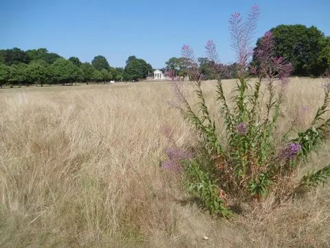 TQ4187 : The Temple, Wanstead Park