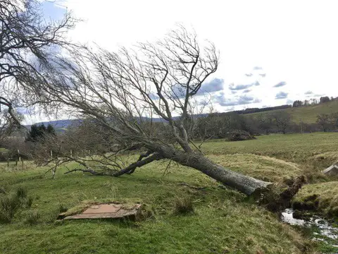 NT9502 : Storm Arwen damage near the Lady's Well
