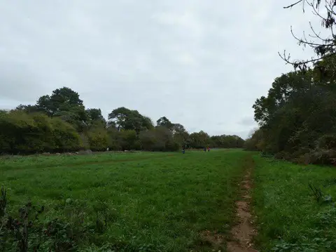 SP5606 : Path within Shotover Country Park