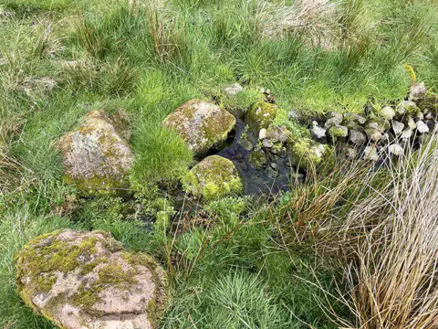NT9728 : Small spring on the slopes of Humbleton Hill