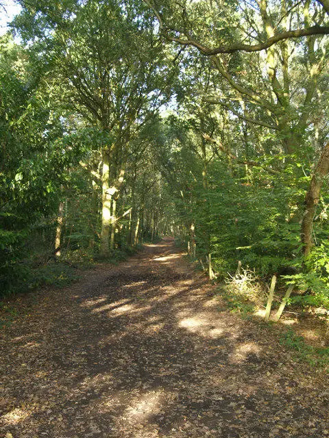 TQ6191 : Bridleway to Ingrave
