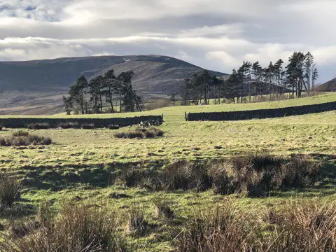 NT9716 : Fields, Hartside