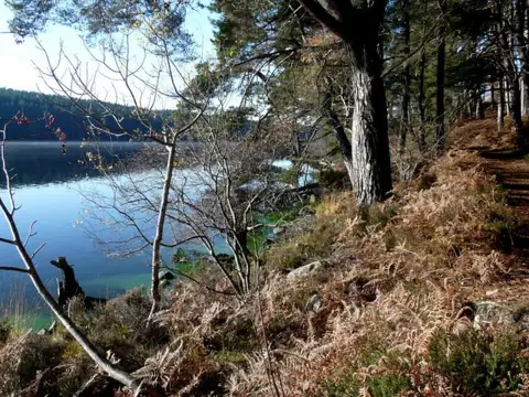 NH6490 : Loch Migdale.