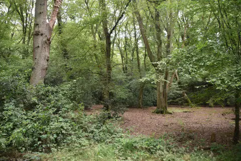 TQ4095 : Epping Forest