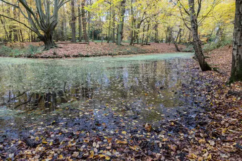 TQ2898 : Camlet Moat, Trent Park