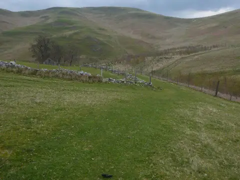 NT8525 : The Low Pennine Way path near Old Halterburnhead