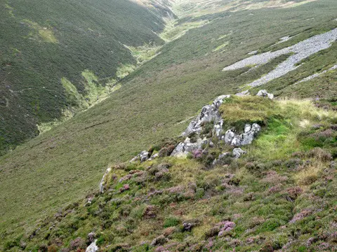 NT9121 : Rocky outcrop on Bellyside Hill