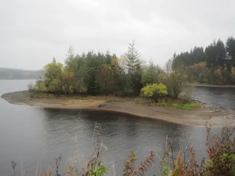 NY6490 : Island at the mouth of the Lewis Burn