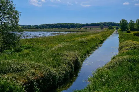 ST4539 : Walton : South Drain