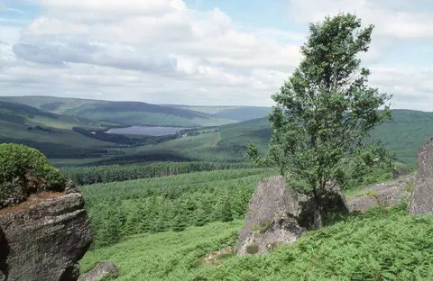 NT7703 : View to Catcleugh Reservoir