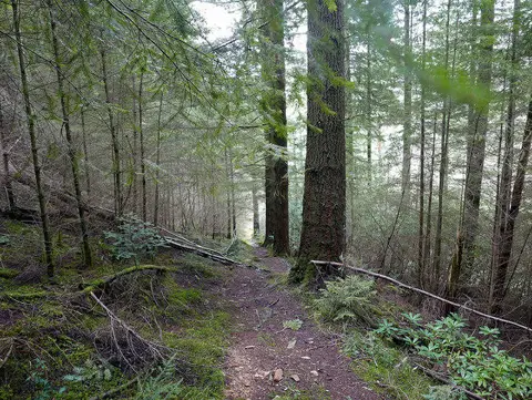 SH7323 : Descending towards Tŷ’n y Groes 
