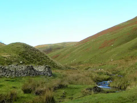 NT8511 : The valley of Rowhope Burn