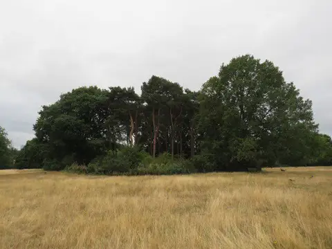 TQ2786 : The Tumulus, Hampstead Heath