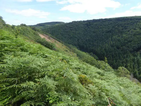SX7389 : Gorge of the River Teign