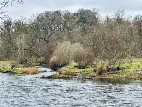 NT5235 : The Allan Water joins the River Tweed at Lowood