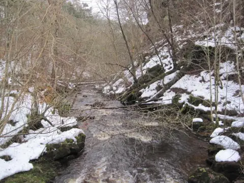NY8484 : Hareshaw Burn