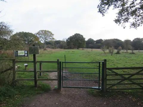 TL5321 : Path into Hatfield Forest, near Bishop's Stortford