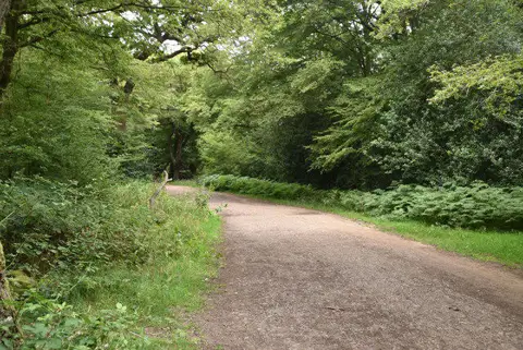 TQ4095 : Centenary Walk, Epping Forest