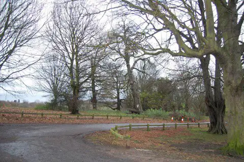 TQ5694 : Weald Country Park