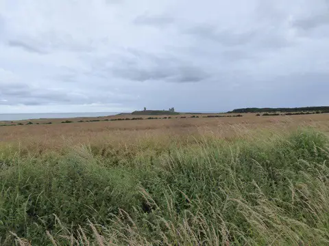 NU2421 : Distant view to Dunstanburgh Castle from an inland footpath