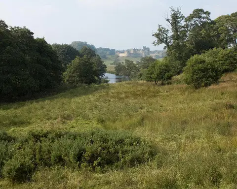 NU1913 : River Aln