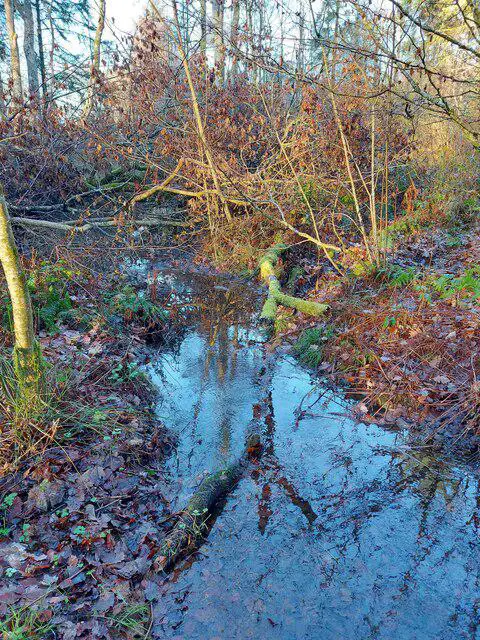 NY2721 : Stream in Great Wood, near Keswick