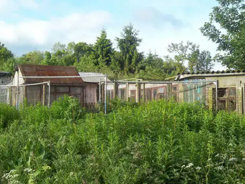 NU1713 : Sheds and fences