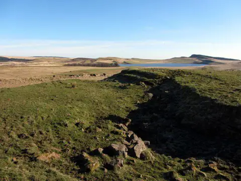 NY7869 : Disused limestone quarry, Ridley Common