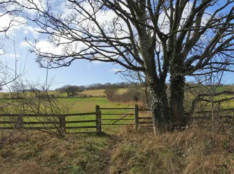 NZ1845 : Path to Biggen farm