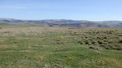 NT7516 : Rough grazing, Plea Shank