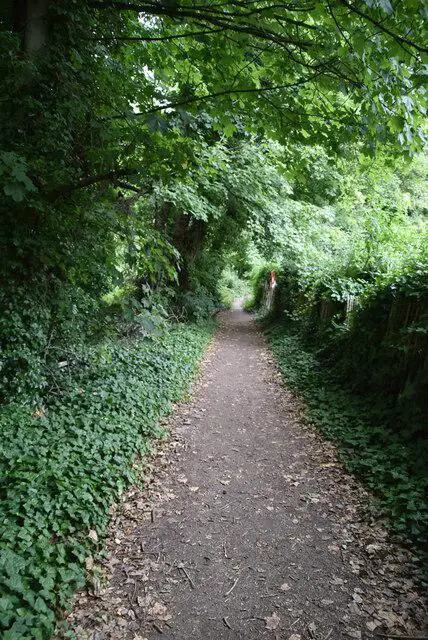 TV5598 : Footpath, Friston Forest