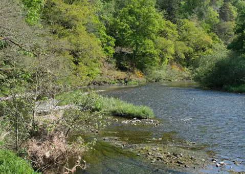 NT2340 : The Tweed at Neidpath