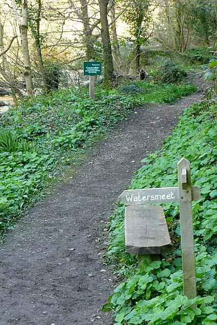 SS7348 : Footpath junction near East Lyn River